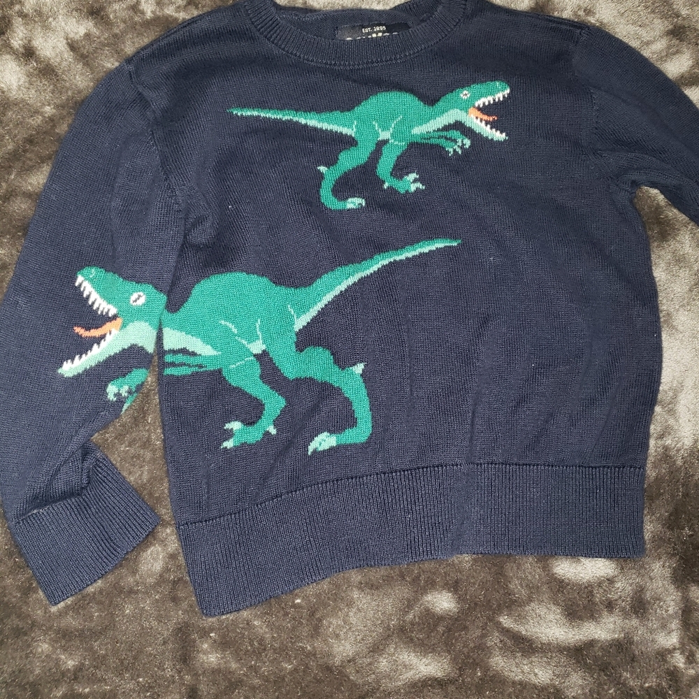 Dinosaur sweater